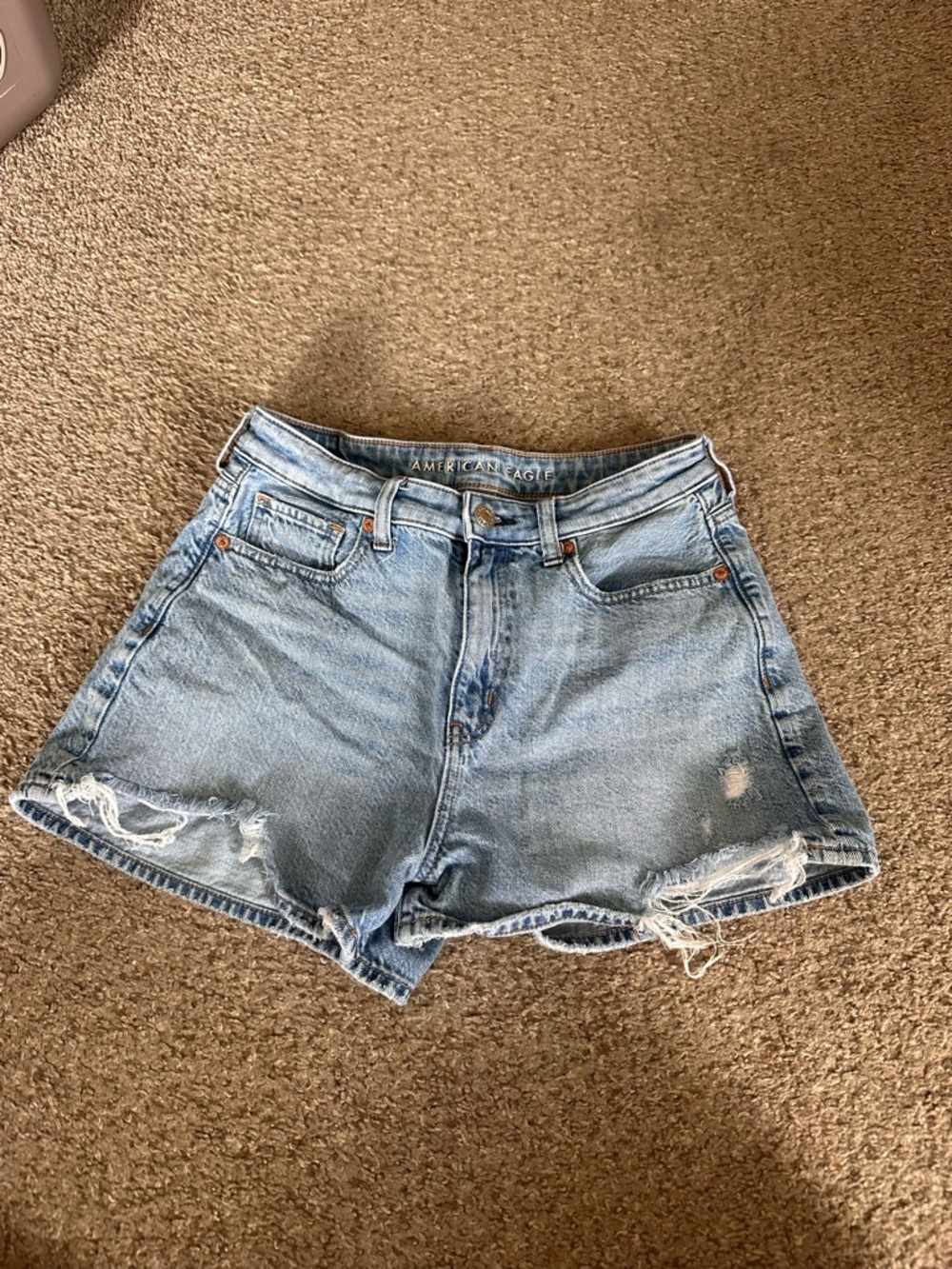 American Eagle Outfitters Light Wash Distressed Denim Shorts